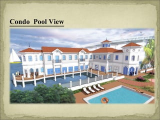 Condo  Pool View 