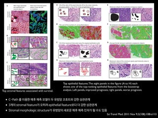 Top stromal features associated with survival.
our system measures thousands of morphologic descriptors of diverse prognostic factor on another, independent data set with very different
SD of the ratio of the pixel intensity SD to the mean intensity
for pixels within a ring of the center of epithelial nuclei
A
The sum of the number of unclassified objects
SD of the maximum blue pixel value for atypical epithelial nuclei
Maximum distance between atypical epithelial nuclei
B
C
D
Maximum value of the minimum green pixel intensity value in
epithelial contiguous regions
Minimum elliptic fit of epithelial contiguous regions
SD of distance between epithelial cytoplasmic and nuclear objects
Average border between epithelial cytoplasmic objects
E
F
G
H
Fig. 5. Top epithelial features. The eight panels in the figure (A to H) each
shows one of the top-ranking epithelial features from the bootstrap anal-
ysis. Left panels, improved prognosis; right panels, worse prognosis. (A) SD
of the (SD of intensity/mean intensity) for pixels within a ring of the center
of epithelial nuclei. Left, relatively consistent nuclear intensity pattern (low
score); right, great nuclear intensity diversity (high score). (B) Sum of the
number of unclassified objects. Red, epithelial regions; green, stromal re-
gions; no overlaid color, unclassified region. Left, few unclassified objects
(low score); right, higher number of unclassified objects (high score). (C) SD
of the maximum blue pixel value for atypical epithelial nuclei. Left, high
score; right, low score. (D) Maximum distance between atypical epithe-
lial nuclei. Left, high score; right, low score. (Insets) Red, atypical epithelial
nuclei; black, typical epithelial nuclei. (E) Minimum elliptic fit of epithelial
contiguous regions. Left, high score; right, low score. (F) SD of distance
between epithelial cytoplasmic and nuclear objects. Left, high score; right,
low score. (G) Average border between epithelial cytoplasmic objects. Left,
high score; right, low score. (H) Maximum value of the minimum green
pixel intensity value in epithelial contiguous regions. Left, low score indi-
cating black pixels within epithelial region; right, higher score indicating
presence of epithelial regions lacking black pixels.
www.ScienceTranslationalMedicine.org 9 November 2011 Vol 3 Issue 108 108ra113 7
onNovember17,2011stm.sciencemag.orgDownloadedfrom
stromal matrix region borders a relatively constant proportion of ep- tensity value of stromal-contiguous regions. This feature received a
value of zero when stromal regions contained dark pixels (such as
inflammatory nuclei). The feature received a positive value when
stromal objects were devoid of dark pixels. This feature provided in-
formation about the relationship between stromal cellular composi-
tion and prognosis and suggested that the presence of inflammatory
cells in the stroma is associated with poor prognosis, a finding con-
sistent with previous observations (32). The third most significant
stromal feature (Fig. 4C) was a measure of the relative border between
spindled stromal nuclei to round stromal nuclei, with an increased rel-
ative border of spindled stromal nuclei to round stromal nuclei asso-
ciated with worse overall survival. Although the biological underpinning
of this morphologic feature is currently not known, this analysis sug-
gested that spatial relationships between different populations of stro-
mal cell types are associated with breast cancer progression.
Reproducibility of C-Path 5YS model predictions on
samples with multiple TMA cores
For the C-Path 5YS model (which was trained on the full NKI data
set), we assessed the intrapatient agreement of model predictions when
predictions were made separately on each image contributed by pa-
tients in the VGH data set. For the 190 VGH patients who contributed
two images with complete image data, the binary predictions (high
or low risk) on the individual images agreed with each other for 69%
(131 of 190) of the cases and agreed with the prediction on the aver-
aged data for 84% (319 of 380) of the images. Using the continuous
prediction score (which ranged from 0 to 100), the median of the ab-
solute difference in prediction score among the patients with replicate
images was 5%, and the Spearman correlation among replicates was
0.27 (P = 0.0002) (fig. S3). This degree of intrapatient agreement is
only moderate, and these findings suggest significant intrapatient tumor
heterogeneity, which is a cardinal feature of breast carcinomas (33–35).
Qualitative visual inspection of images receiving discordant scores
suggested that intrapatient variability in both the epithelial and the
stromal components is likely to contribute to discordant scores for
the individual images. These differences appeared to relate both to
the proportions of the epithelium and stroma and to the appearance
of the epithelium and stroma. Last, we sought to analyze whether sur-
vival predictions were more accurate on the VGH cases that contributed
multiple cores compared to the cases that contributed only a single
core. This analysis showed that the C-Path 5YS model showed signif-
icantly improved prognostic prediction accuracy on the VGH cases
for which we had multiple images compared to the cases that con-
tributed only a single image (Fig. 7). Together, these findings show
a significant degree of intrapatient variability and indicate that increased
tumor sampling is associated with improved model performance.
DISCUSSION
We have developed a system for the automatic hierarchical segmen-
tation of microscopic breast cancer images and the generation of a
rich set of quantitative features to characterize the image. On the
basis of these features, we built an image-based model to predict pa-
tient outcome and to identify clinically significant morphologic
features. Most previous work in quantitative pathology has required
Heat map of stromal matrix
objects mean abs.diff
to neighbors
H&E image separated
into epithelial and
stromal objects
A
B
C
Worse
prognosis
Improved
prognosis
Improved
prognosis
Improved
prognosis
Worse
prognosis
Worse
prognosis
Fig. 4. Top stromal features associated with survival. (A) Variability in ab-
solute difference in intensity between stromal matrix regions and neigh-
bors. Top panel, high score (24.1); bottom panel, low score (10.5). (Insets)
Top panel, high score; bottom panel; low score. Right panels, stromal matrix
objects colored blue (low), green (medium), or white (high) according to
each object’s absolute difference in intensity to neighbors. (B) Presence
of stromal regions without nuclei. Top panels, high scores; bottom panels,
0 score. Green, stromal contiguous regions with score 0; red, stromal con-
tiguous regions with high score. (Insets) Red stromal regions are thin and
do not contain nuclei; green regions are larger with nuclei. (C) Average
relative border of stromal spindle nuclei to stromal round nuclei. Top panel,
low score; bottom panel, high score. (Insets) Stromal spindled nuclear
objects are green and stromal round nuclear objects are red. Right panels,
higher magnification of a portion of the larger image.
onNovember17,2011stm.sciencemag.orgDownloadedfrom
Top epithelial features.The eight panels in the ﬁgure (A to H) each
shows one of the top-ranking epithelial features from the bootstrap
analysis. Left panels, improved prognosis; right panels, worse prognosis.
•C-Path 를 이용한 예후 예측 모델이 두 유방암 코호트와 강한 상관관계
•3개의 stromal feature가 오히려 epithelial feature보다 더 강한 상관관계
•Stromal morphologic structure가 유방암의 새로운 예후 예측 인자가 될 수도 있음
Sci Transl Med. 2011 Nov 9;3(108):108ra113
 