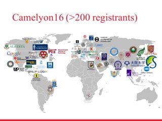 Camelyon16 (>200 registrants)
 