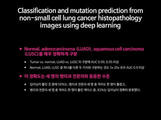 Classification and mutation prediction from
non-small cell lung cancer histopathology
images using deep learning
•Normal, adenocarcinoma (LUAD), squamous cell carcinoma
(LUSC)를 매우 정확하게 구분
• Tumor vs. normal, LUAD vs. LUSC 의 구분에 AUC 0.99, 0.95 이상
• Normal, LUAD, LUSC 중 하나를 다른 두 가지와 구분하는 것도 5x 20x 모두 AUC 0.9 이상
•이 정확도는 세 명의 병리과 전문의와 동등한 수준
• 딥러닝이 틀린 것 중에 50%는, 병리과 전문의 세 명 중 적어도 한 명이 틀렸고,
• 병리과 전문의 세 명 중 적어도 한 명이 틀린 케이스 중, 83%는 딥러닝이 정확히 분류했다.
 