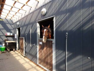 Snur om-gaaard - mobile hestestalde