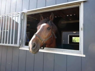 Snur om-gaaard - mobile hestestalde