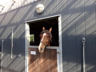 Snur om-gaaard - mobile hestestalde