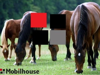 Snur om-gaaard - mobile hestestalde