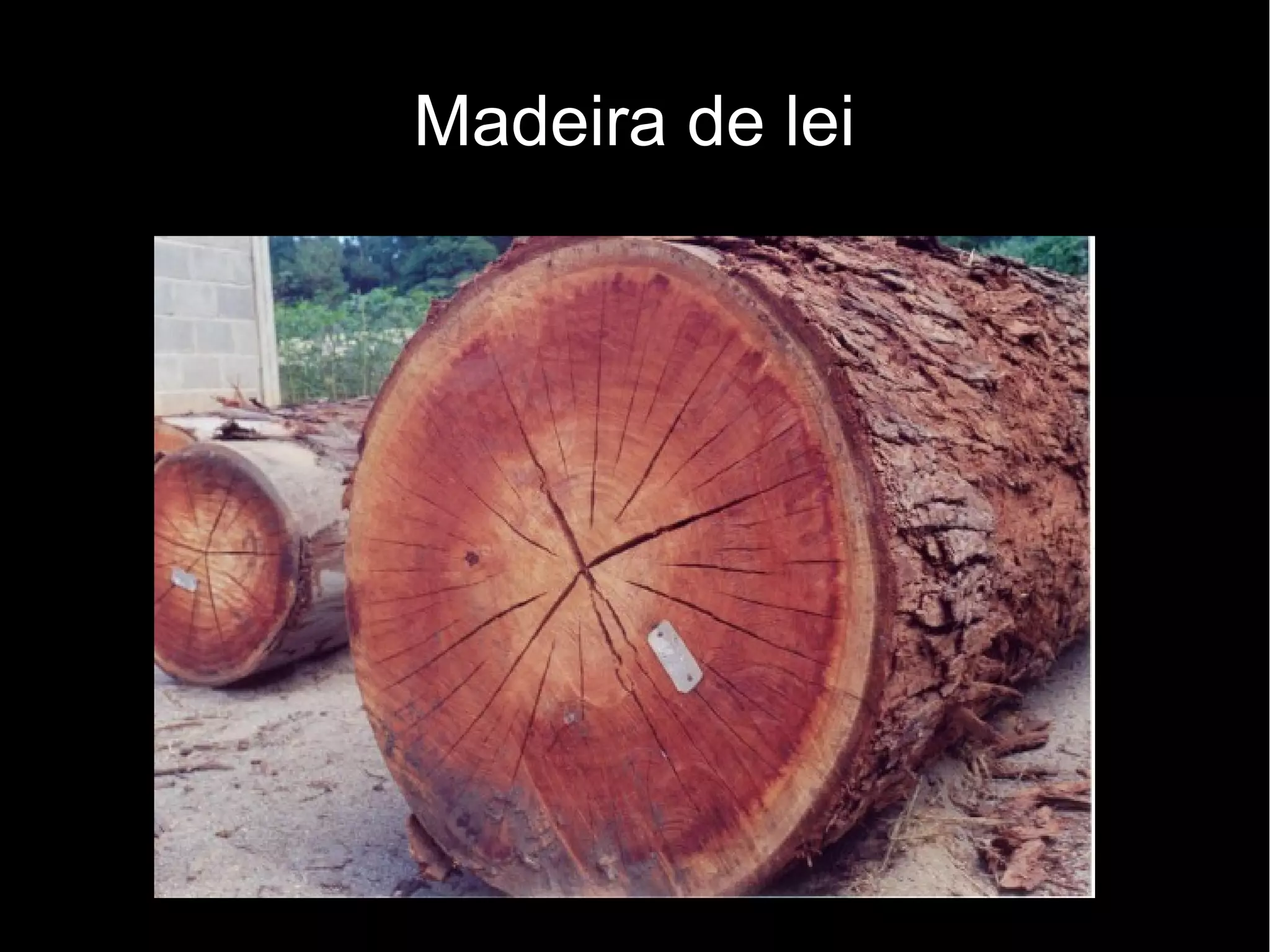 Madeira de lei