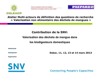 Atelier Multi-acteurs de définition des questions de recherche
  « Valorisation non alimentaire des déchets de mangues »



                 Contribution de la SNV:
          Valorisation des déchets de mangue dans
               les biodigesteurs domestiques


                              Dakar, 11, 12, 13 et 14 mars 2013
 