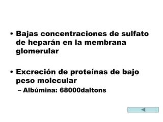 • Bajas concentraciones de sulfato
de heparán en la membrana
glomerular
• Excreción de proteínas de bajo
peso molecular
– Albúmina: 68000daltons
 