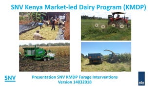 SNV Kenya Market-led Dairy Program (KMDP)
Presentation SNV KMDP Forage Interventions
Version 14032018
 