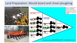 Land Preparation: Mould board and chisel ploughing
 