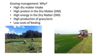 Grazing management: Why?
• High dry matter intake
• High protein in the Dry Matter (DM)
• High energy in the Dry Matter (DM)
• High production of grass/acre
• Low costs of feeding
 