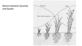 Balance between Quantity
and Quality
 