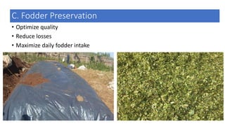 C. Fodder Preservation
• Optimize quality
• Reduce losses
• Maximize daily fodder intake
 