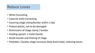 Reduce Losses
• While harvesting
• Capacity while harvesting
• Covering silage clamp/bunker within 1 day
• Protect plastic; not to be damaged
• Dimensions of silage clamp / bunker
• Feeding speed ( 1 meter/week)
• Avoid moulds and heating of silage
• Palatable / Quality silage increases daily feed intake, reducing losses
 