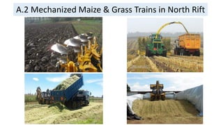 A.2 Mechanized Maize & Grass Trains in North Rift
 
