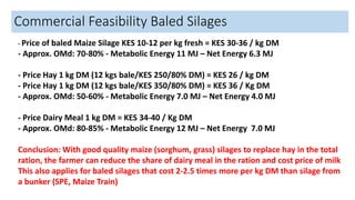 - Price of baled Maize Silage KES 10-12 per kg fresh = KES 30-36 / kg DM
- Approx. OMd: 70-80% - Metabolic Energy 11 MJ – Net Energy 6.3 MJ
- Price Hay 1 kg DM (12 kgs bale/KES 250/80% DM) = KES 26 / kg DM
- Price Hay 1 kg DM (12 kgs bale/KES 350/80% DM) = KES 36 / Kg DM
- Approx. OMd: 50-60% - Metabolic Energy 7.0 MJ – Net Energy 4.0 MJ
- Price Dairy Meal 1 kg DM = KES 34-40 / Kg DM
- Approx. OMd: 80-85% - Metabolic Energy 12 MJ – Net Energy 7.0 MJ
Conclusion: With good quality maize (sorghum, grass) silages to replace hay in the total
ration, the farmer can reduce the share of dairy meal in the ration and cost price of milk
This also applies for baled silages that cost 2-2.5 times more per kg DM than silage from
a bunker (SPE, Maize Train)
Commercial Feasibility Baled Silages
 