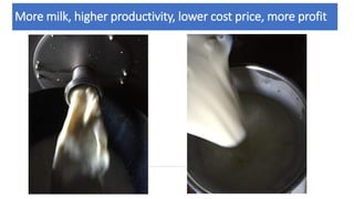 More milk, higher productivity, lower cost price, more profit
 