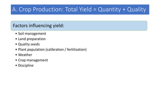 A. Crop Production: Total Yield = Quantity + Quality
Factors influencing yield:
• Soil management
• Land preparation
• Quality seeds
• Plant population (calibration / fertilization)
• Weather
• Crop management
• Discipline
 