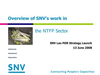 Overview of SNV’s work in  SNV Lao PDR Strategy Launch 13 June 2008 the  NTFP  Sector 