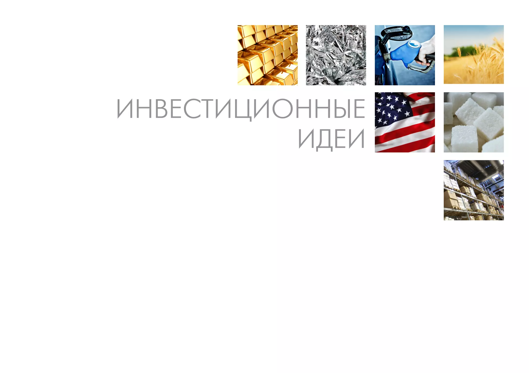 ИНВЕСТИЦИОННЫЕ
          ИДЕИ
 