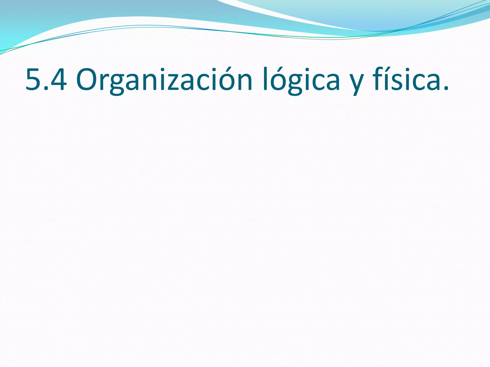 5.4 Organización lógica y física.
 