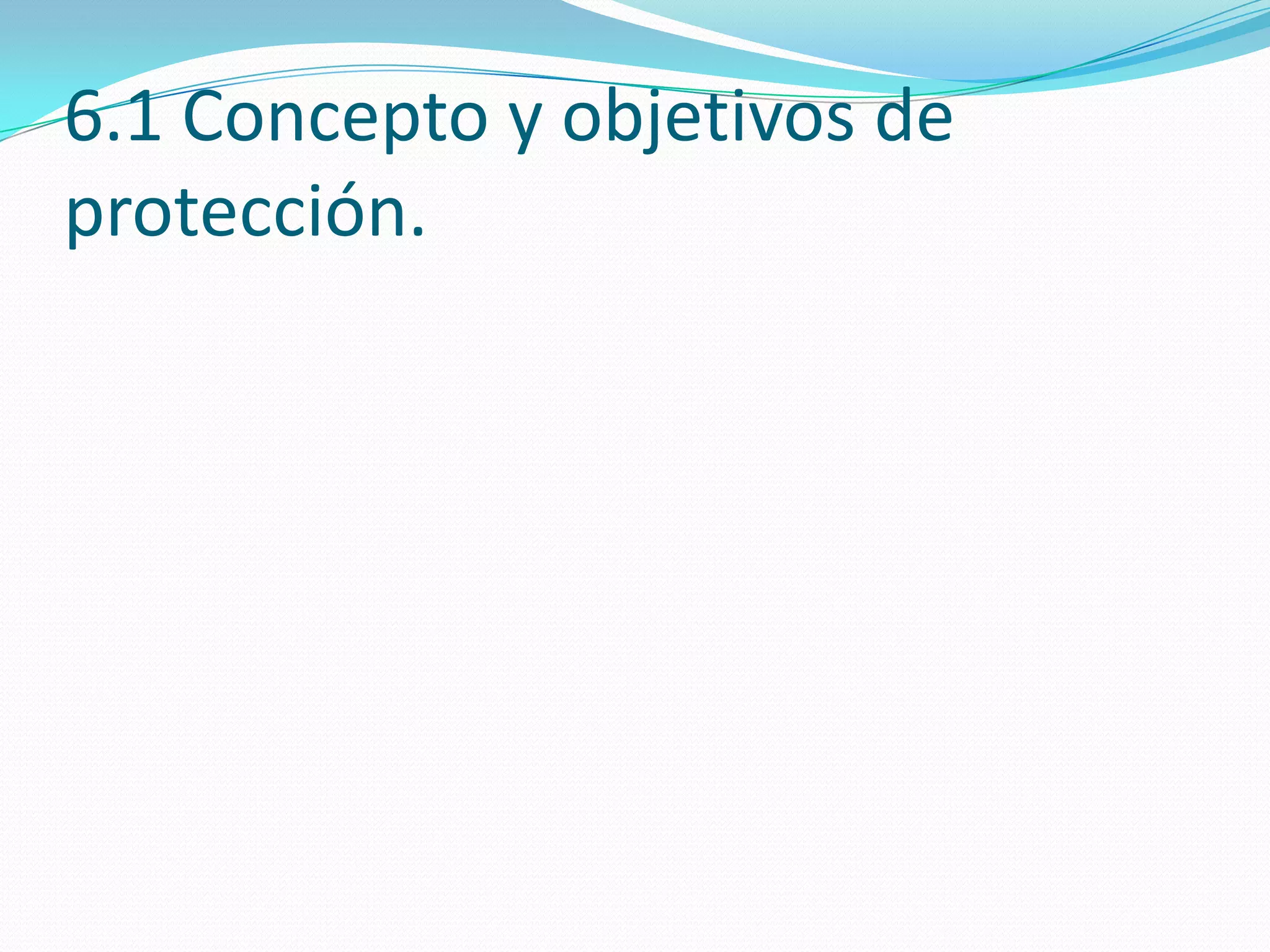6.1 Concepto y objetivos de
protección.
 