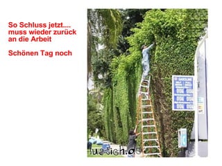 So Schluss jetzt....  muss wieder zurück an die Arbeit Schönen Tag noch   
