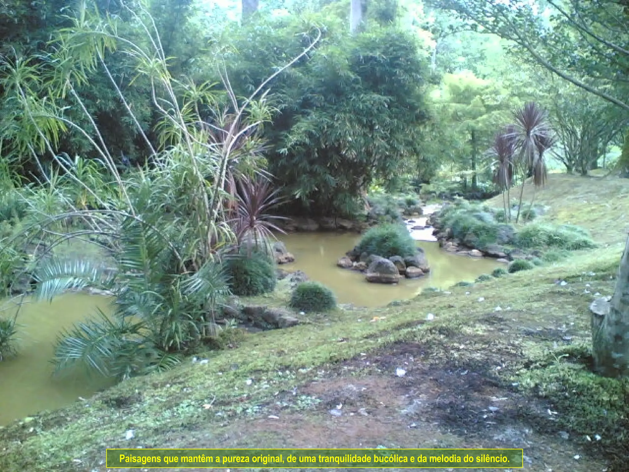 Paisagens que mantêm a pureza original, de uma tranquilidade bucólica e da melodia do silêncio. 