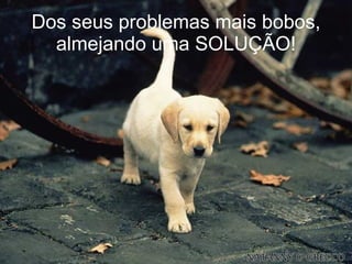 Dos seus problemas mais bobos, almejando uma SOLUÇÃO! 