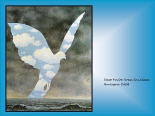 Texto: Madre Teresa de Calcutá
Montagem: IMGM