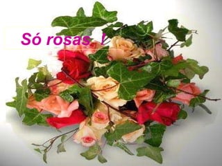Só rosas  ! 