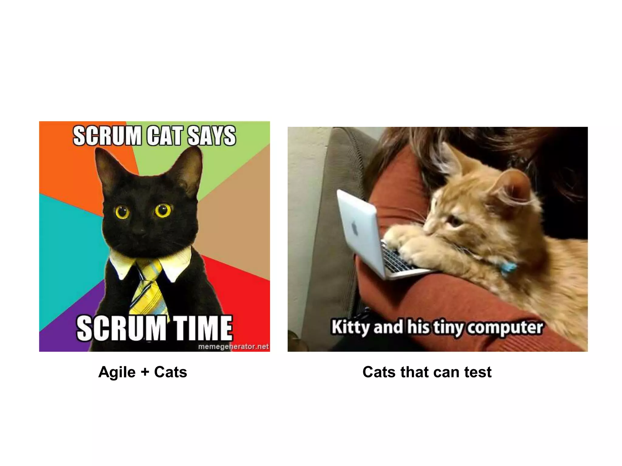 Agile + Cats Cats that can test
 