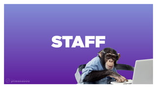 @petehotchkiss
STAFF
 