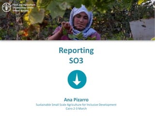 Reporting
SO3
Ana Pizarro
Sustainable Small Scale Agriculture for Inclusive Development
Cairo 2-3 March
 