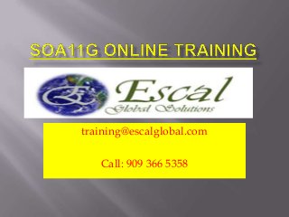 training@escalglobal.com
Call: 909 366 5358

 