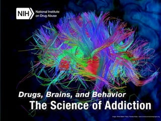 Drugs, Brains, and Behavior
The Science of Addiction
Image: White Matter Fibers, Parietal Areas • www.humanconnectomeproject.org
 