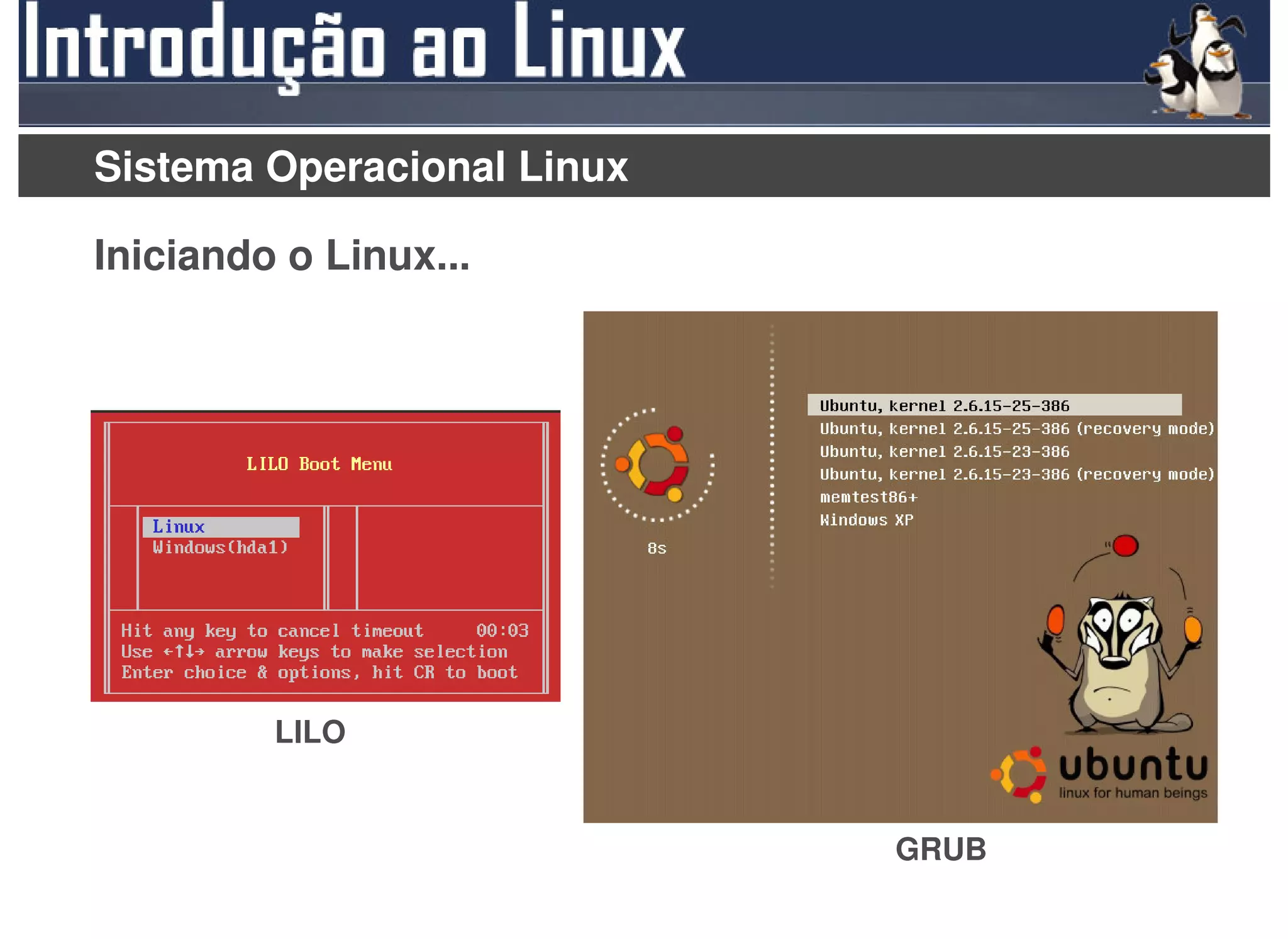 Sistema Operacional Linux

Iniciando o Linux...




         LILO


                            GRUB
 