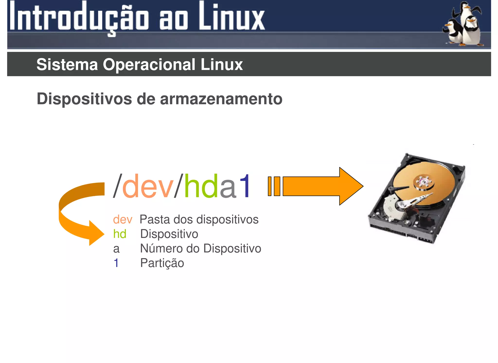 Sistema Operacional Linux

Dispositivos de armazenamento




         /dev/hda1
         dev   Pasta dos dispositivos
         hd    Dispositivo
         a     Número do Dispositivo
         1     Partição
 