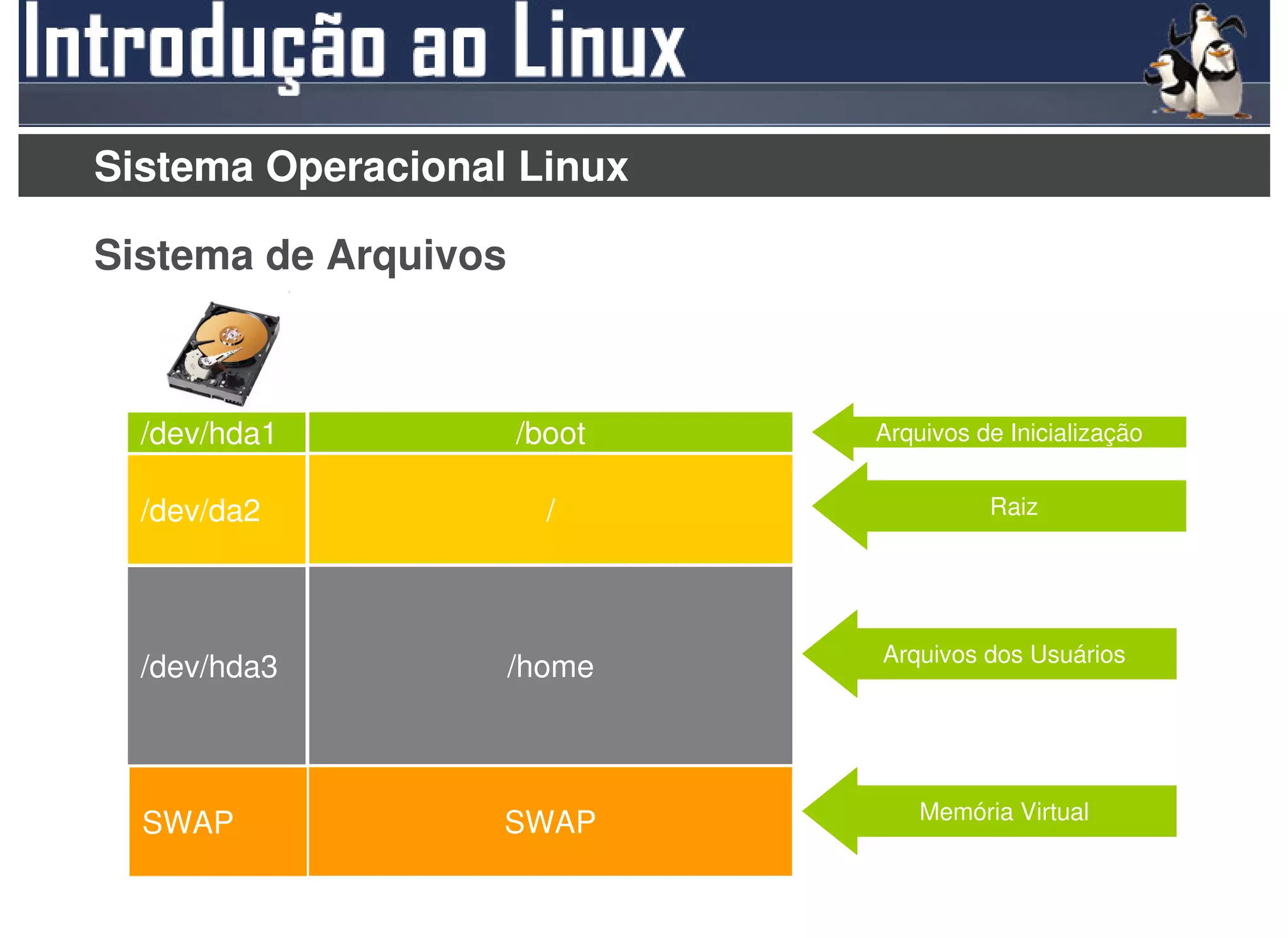 Sistema Operacional Linux

Sistema de Arquivos



  /dev/hda1           /boot   Arquivos de Inicialização


  /dev/da2              /               Raiz




                              Arquivos dos Usuários
  /dev/hda3           /home



                                  Memória Virtual
  SWAP             SWAP
 