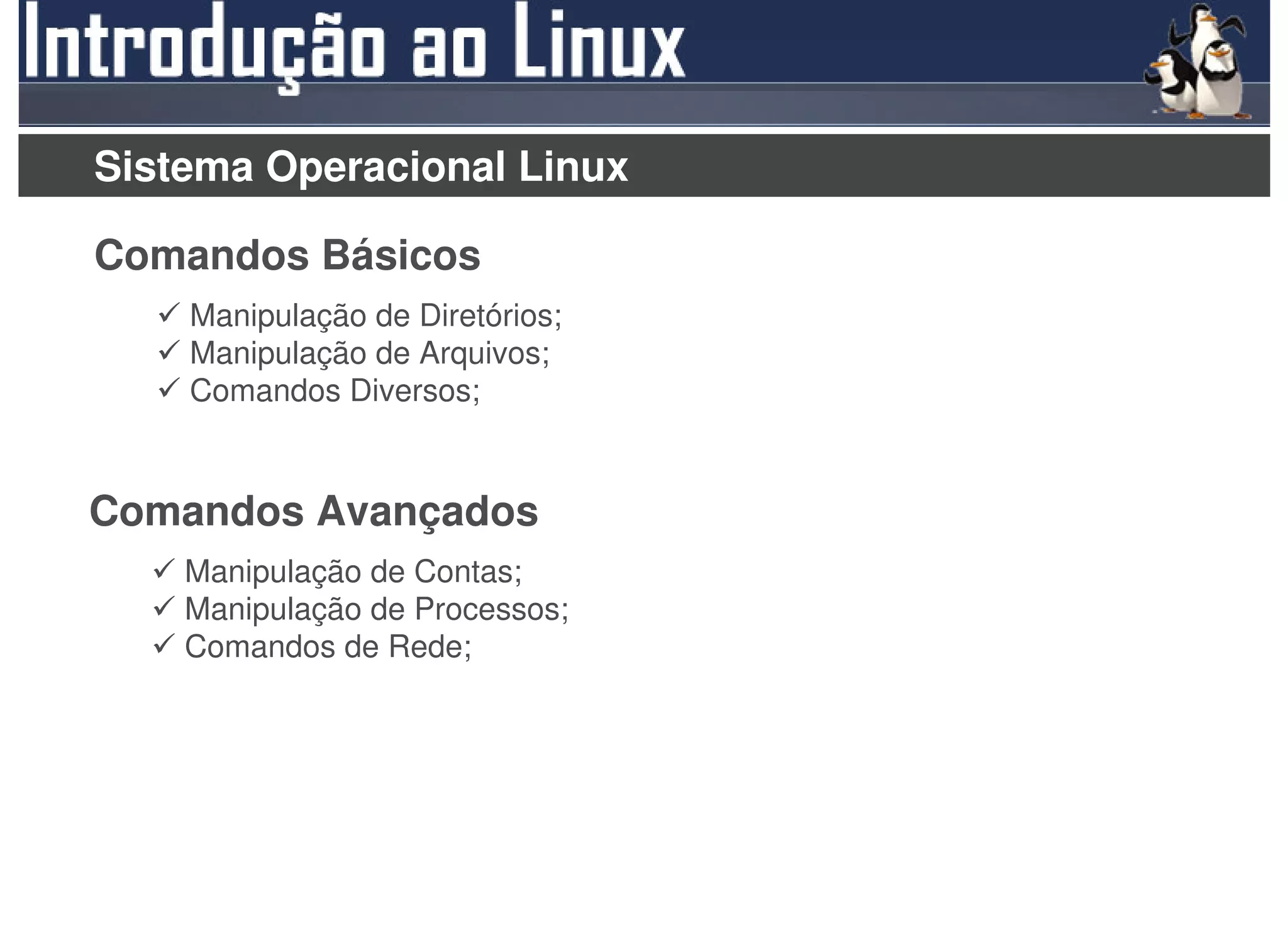 Sistema Operacional Linux

Comandos Básicos
    Manipulação de Diretórios;
    Manipulação de Arquivos;
    Comandos Diversos;


Comandos Avançados
    Manipulação de Contas;
    Manipulação de Processos;
    Comandos de Rede;
 