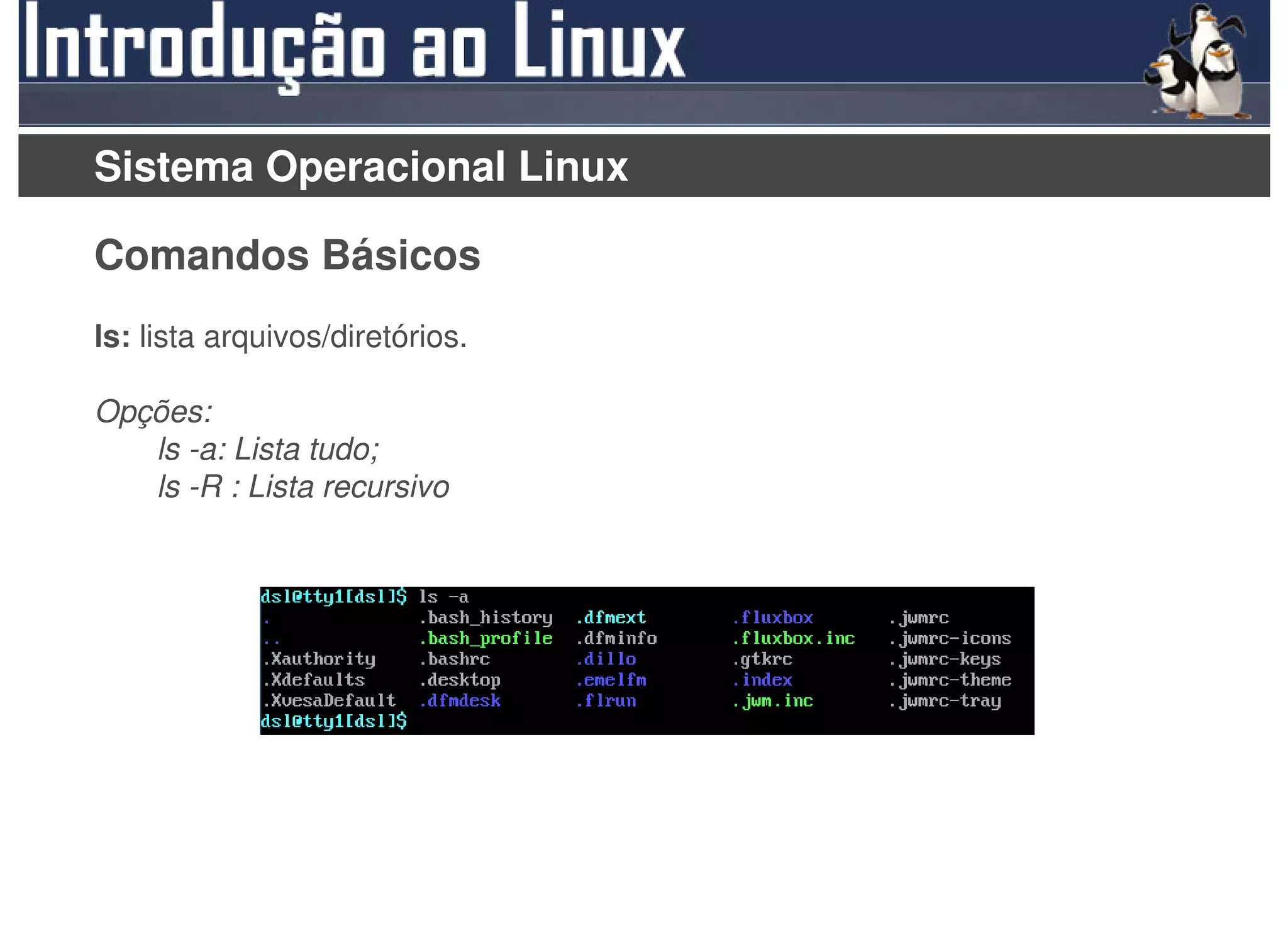 Sistema Operacional Linux

Comandos Básicos
ls: lista arquivos/diretórios.

Opções:
   ls -a: Lista tudo;
   ls -R : Lista recursivo
 