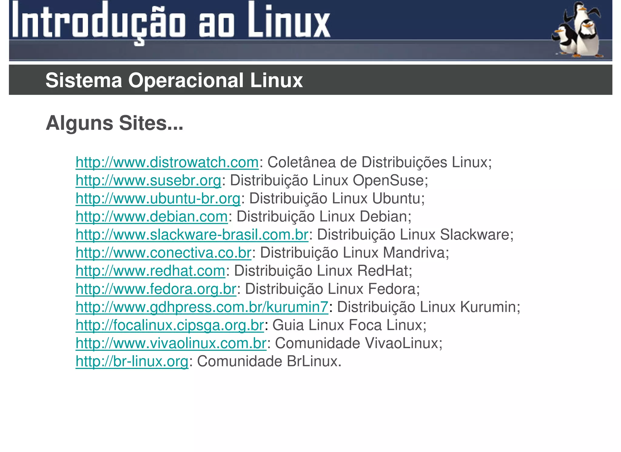 Sistema Operacional Linux

Alguns Sites...
   http://www.distrowatch.com: Coletânea de Distribuições Linux;
   http://www.susebr.org: Distribuição Linux OpenSuse;
   http://www.ubuntu-br.org: Distribuição Linux Ubuntu;
   http://www.debian.com: Distribuição Linux Debian;
   http://www.slackware-brasil.com.br: Distribuição Linux Slackware;
   http://www.conectiva.co.br: Distribuição Linux Mandriva;
   http://www.redhat.com: Distribuição Linux RedHat;
   http://www.fedora.org.br: Distribuição Linux Fedora;
   http://www.gdhpress.com.br/kurumin7: Distribuição Linux Kurumin;
   http://focalinux.cipsga.org.br: Guia Linux Foca Linux;
   http://www.vivaolinux.com.br: Comunidade VivaoLinux;
   http://br-linux.org: Comunidade BrLinux.
 