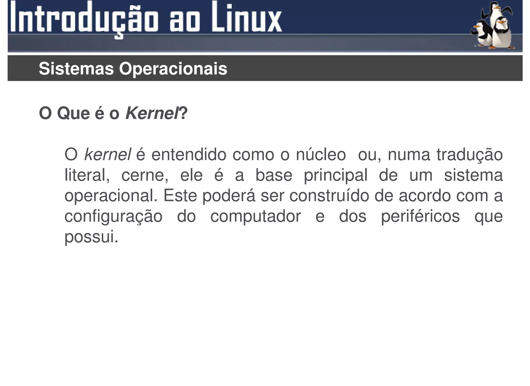 Sistemas Operacionais

O Que é o Kernel?

  O kernel é entendido como o núcleo ou, numa tradução
  literal, cerne, ele é a base principal de um sistema
  operacional. Este poderá ser construído de acordo com a
  configuração do computador e dos periféricos que
  possui.
 