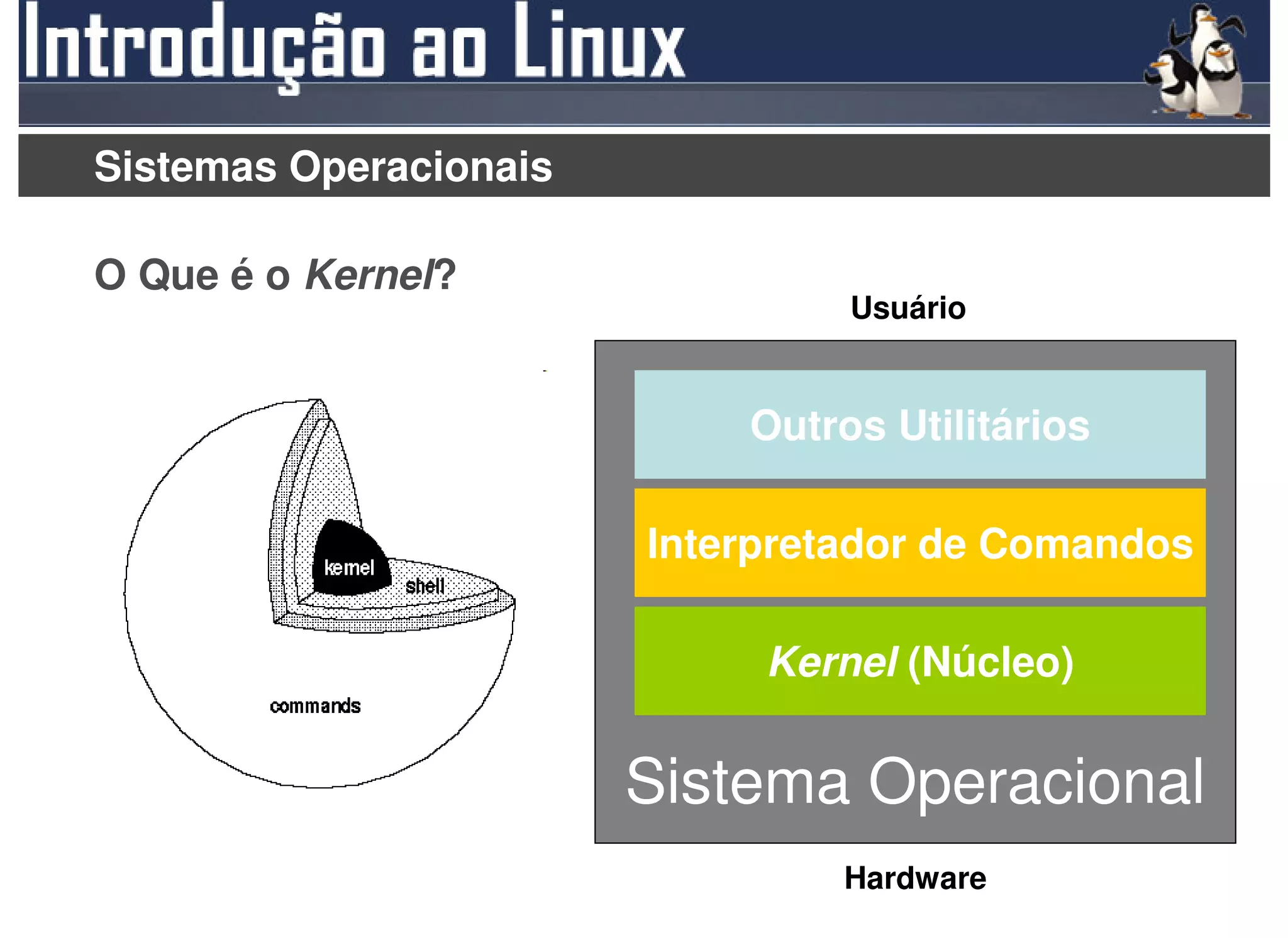 Sistemas Operacionais

O Que é o Kernel?
                                 Usuário


                            Outros Utilitários

                        Interpretador de Comandos

                             Kernel (Núcleo)


                        Sistema Operacional
                                 Hardware
 
