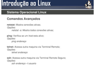 Sistema Operacional Linux

Comandos Avançados
netstat: Mostra conexões ativas;
Opções:
    netstat -a: Mostra todos conexões ativas;

ping: Verifica se um host esta ativo;
Opções:
    ping endereço

telnet: Acessa outra maquina via Terminal Remoto;
Opções:
    telnet endereço

ssh: Acessa outra maquina via Terminal Remoto Seguro;
Opções:
    ssh endereço –l usuario
 