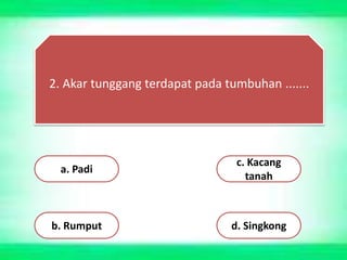 2. Akar tunggang terdapat pada tumbuhan .......
a. Padi
b. Rumput
c. Kacang
tanah
d. Singkong
 