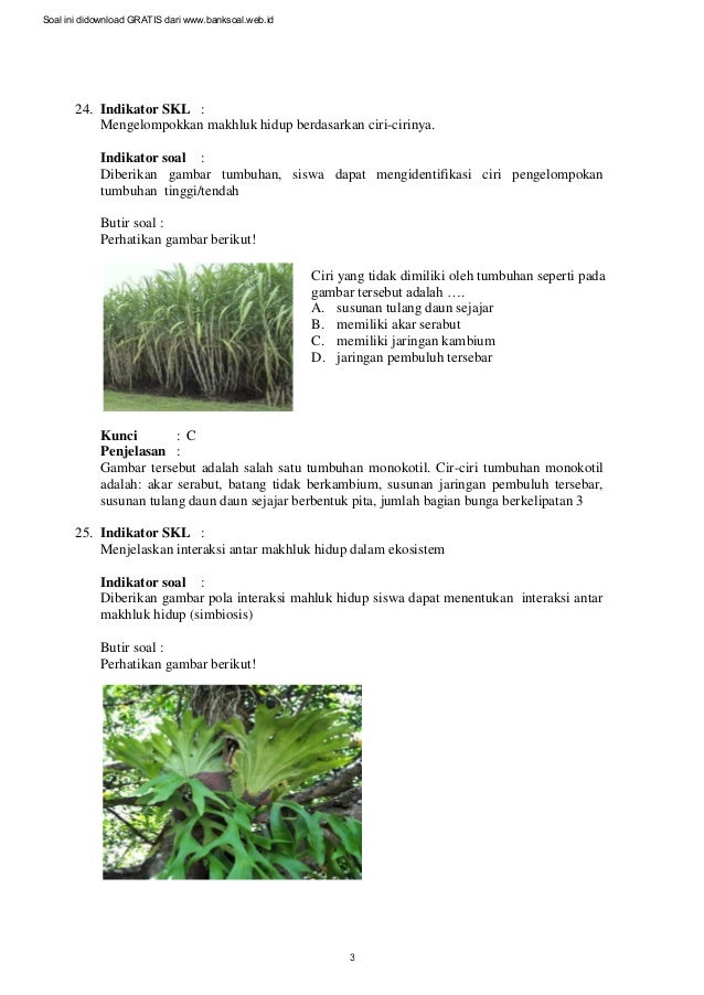 Soal dan pembahasan ujian nasional biologi smp 2013 paket 3