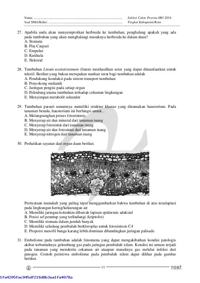 Soal osn-biologi-tingkat-kabupaten-kota-tahun-2015