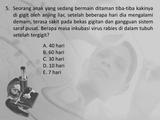 5. Seorang anak yang sedang bermain ditaman tiba-tiba kakinya
di gigit oleh anjing liar, setelah beberapa hari dia mengalami
demam, terasa sakit pada bekas gigitan dan gangguan sistem
saraf pusat. Berapa masa inkubasi virus rabies di dalam tubuh
setelah tergigit?
A. 40 hari
B. 60 hari
C. 30 hari
D. 10 hari
E. 7 hari
 