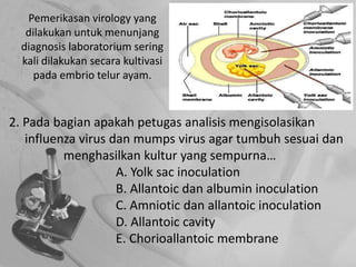 Pemerikasan virology yang
dilakukan untuk menunjang
diagnosis laboratorium sering
kali dilakukan secara kultivasi
pada embrio telur ayam.
2. Pada bagian apakah petugas analisis mengisolasikan
influenza virus dan mumps virus agar tumbuh sesuai dan
menghasilkan kultur yang sempurna…
A. Yolk sac inoculation
B. Allantoic dan albumin inoculation
C. Amniotic dan allantoic inoculation
D. Allantoic cavity
E. Chorioallantoic membrane
 