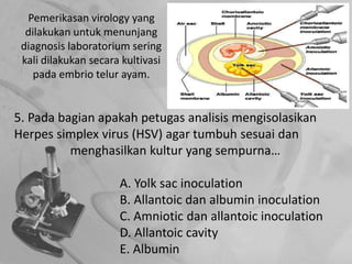 Pemerikasan virology yang
dilakukan untuk menunjang
diagnosis laboratorium sering
kali dilakukan secara kultivasi
pada embrio telur ayam.
5. Pada bagian apakah petugas analisis mengisolasikan
Herpes simplex virus (HSV) agar tumbuh sesuai dan
menghasilkan kultur yang sempurna…
A. Yolk sac inoculation
B. Allantoic dan albumin inoculation
C. Amniotic dan allantoic inoculation
D. Allantoic cavity
E. Albumin
 